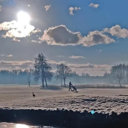 アパート Prinsenhof # Vierendertig ベルゲン