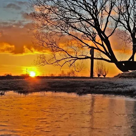 Prinsenhof # Vierendertig ベルゲン