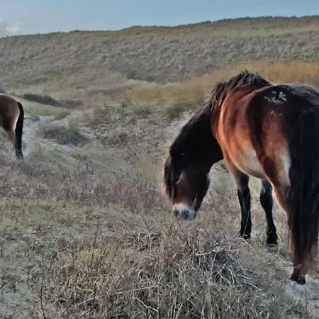 アパート Prinsenhof # Vierendertig ベルゲン