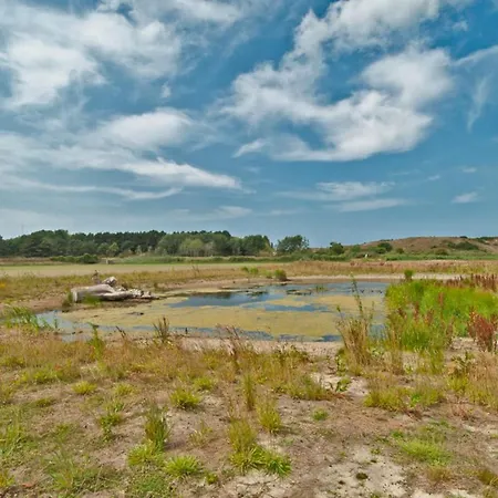 Prinsenhof # Vierendertig Bergen