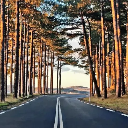 Prinsenhof # Vierendertig アパート