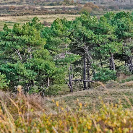 アパート Prinsenhof # Vierendertig